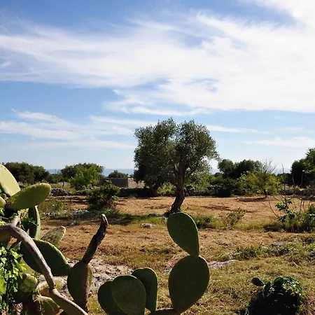 Apartment La Conchiglia Di Torre Vado With Sea View - Happy Morciano di Leuca